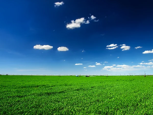 Campo y cielo nublado — Foto de Stock