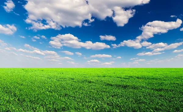 Fältet och mulen himmel — Stockfoto