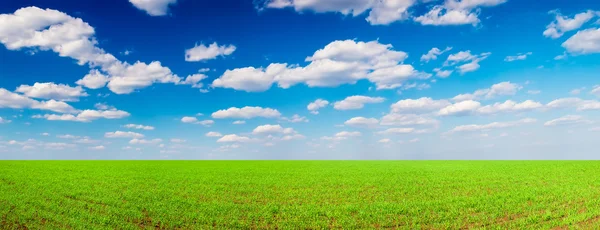 Field and cloudy sky — Stock Photo, Image