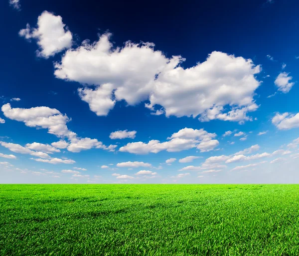 Veld en bewolkte hemel — Stockfoto