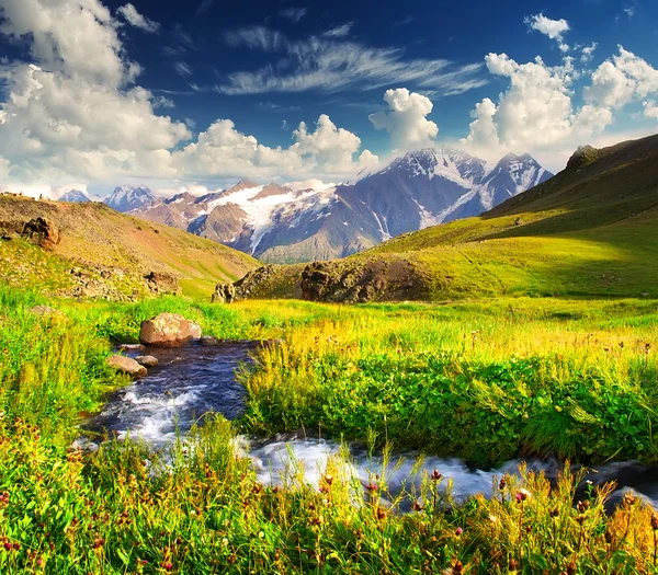 Rivier onder gras en stenen — Stockfoto