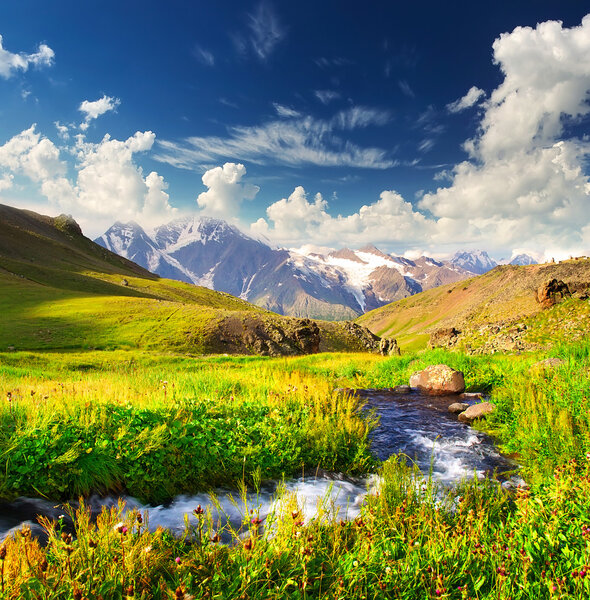 Река среди травы и камней
