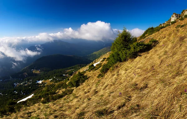 Valle della montagna — Foto Stock