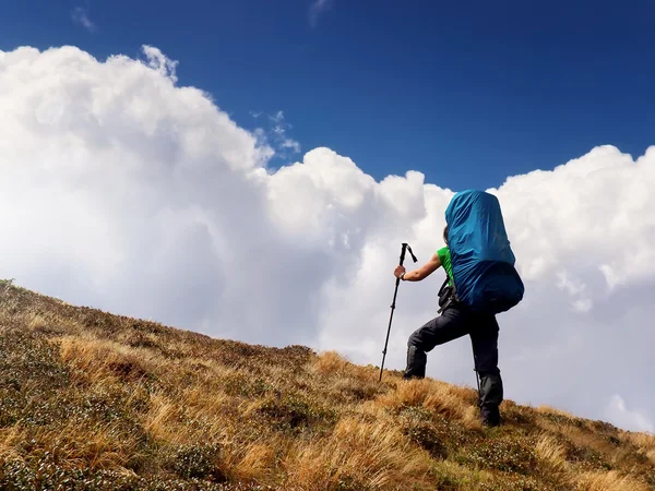 Tourist o the sky background — Stock Photo, Image