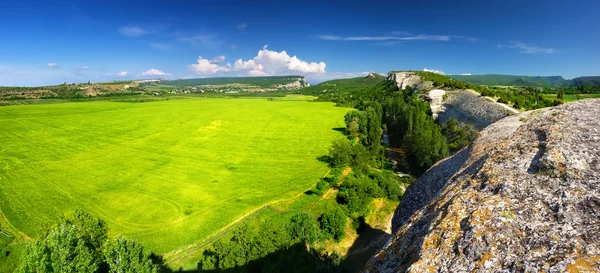 Luminoso campo nella valle della montagna — Foto Stock