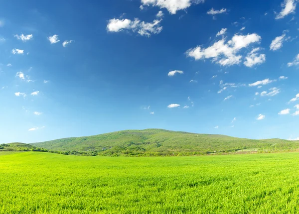 Jasny zielony łąka i chmury — Zdjęcie stockowe