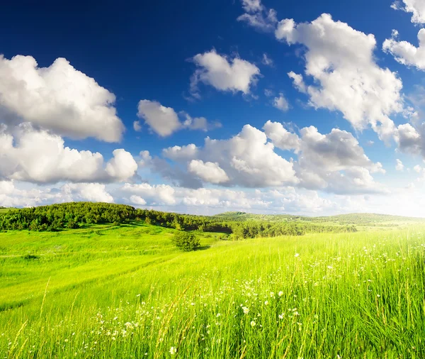 Bright green meadow and clouds — Stock Photo, Image