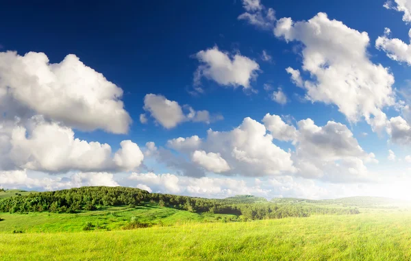 Prado verde brilhante e nuvens — Fotografia de Stock