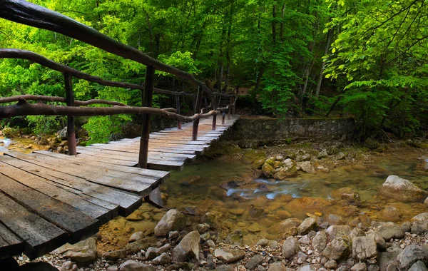 Kanyonda köprü — Stok fotoğraf