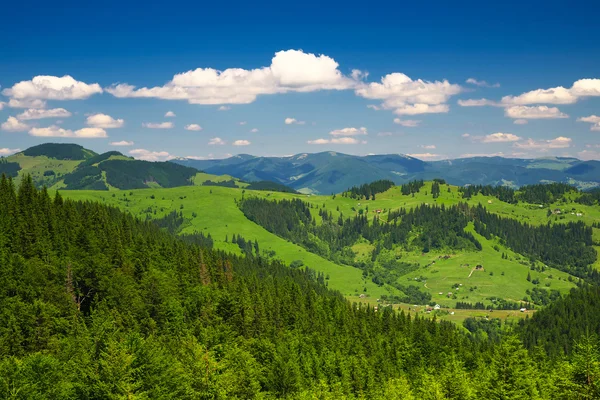 Yeşil tepeler — Stok fotoğraf