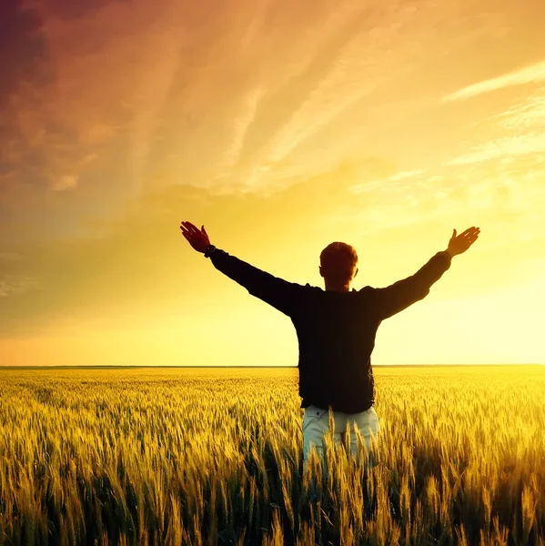 Person in field — Stock Photo, Image