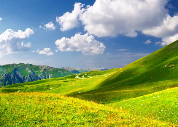 Field and cloudy sky — Stock Photo, Image