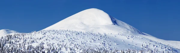 Valle de montaña — Foto de Stock