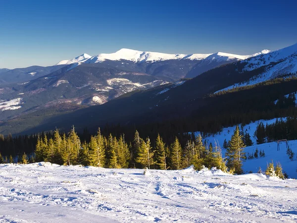 Foresta e montagna — Foto Stock