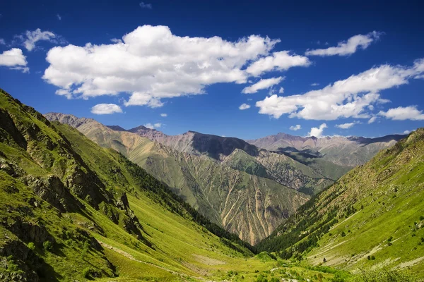 Valle de montaña — Foto de Stock