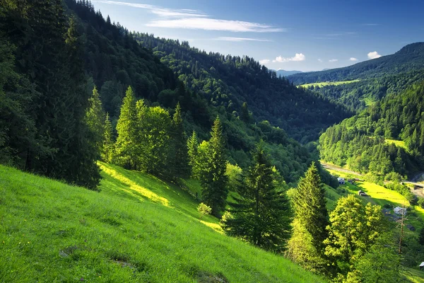 Valle della montagna — Foto Stock