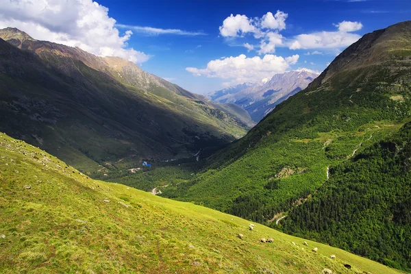 Valle de la montaña en verano — Foto de Stock