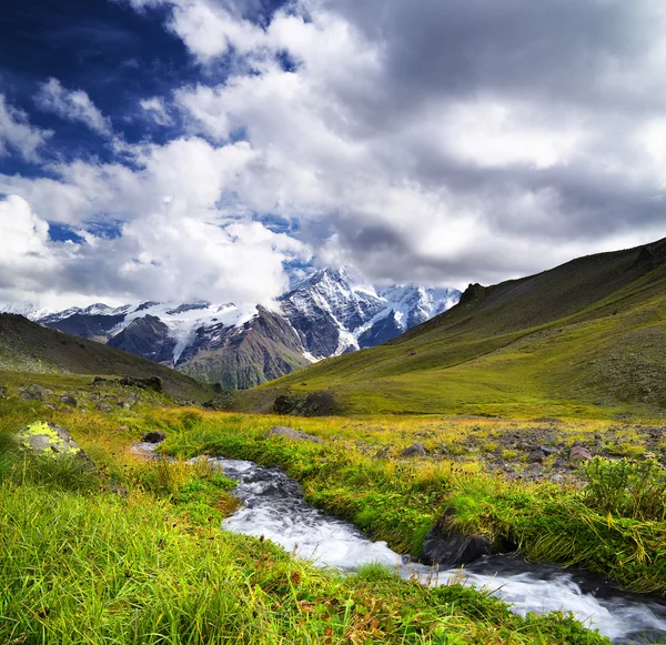 River on the mountain field — Stock Photo, Image