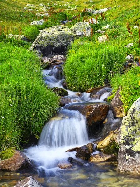 Rio no campo de montanha — Fotografia de Stock