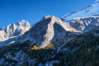 Yüksek keskinlikte kayalar ve orman. Gün batımından önce dağ vadisi. Doğa manzarası. Sonbahar zamanlarında manzara. Fotoğraf yüksek çözünürlükte