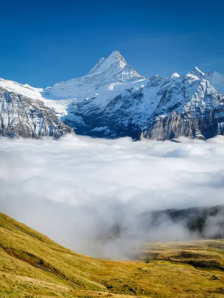 山谷中的群山和云彩 高山上的自然景观 群山穿云而过 夏天的风景 大解像度设计照片 — 图库照片