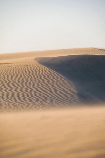 Sand Dunes Sunset Strong Wind Summer Landscape Desert Hot Weather — Stock Photo, Image