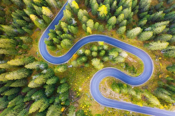 空気からの自然の風景 秋の時間に道路や森の空中ビュー イタリアのドロマイト アルプスの空中夏の風景 森と道 — ストック写真