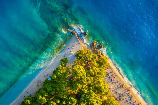 Kumsalda Ağaçlarda Hava Manzarası Kumsaldaki Gök Mavisi Denizdeki Nın Üst — Stok fotoğraf