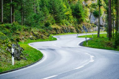 Yaz ormanının ortasında bir yol. Yol ve virajlar. Nakliye aracıyla yolculuk. Ağaçların arasında asfalt bir yol.