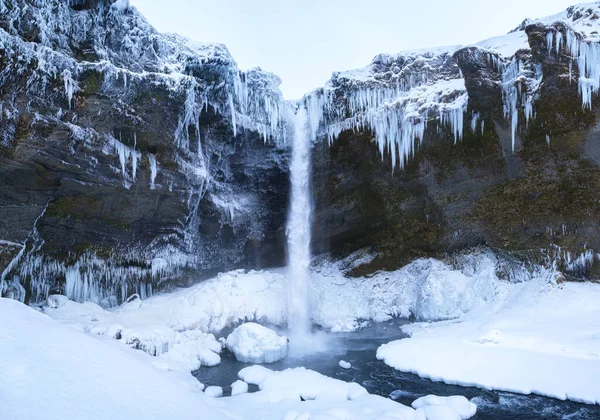 Wodospad Kvernufoss Islandia Islandzki Krajobraz Zimowy Wysoki Wodospad Skały Śnieg — Zdjęcie stockowe