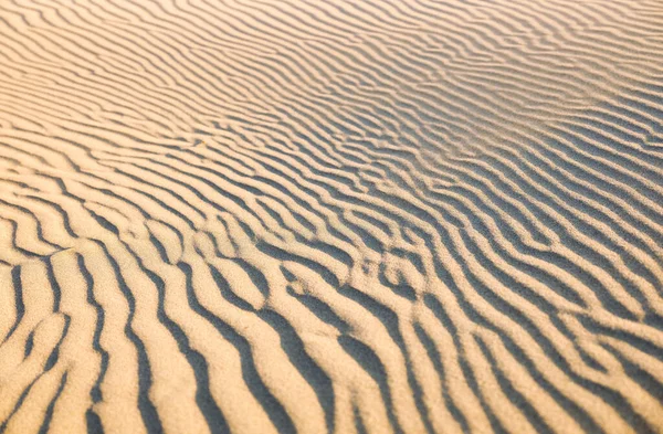Die Sanddünen Bei Sonnenuntergang Als Hintergrund Sommerliche Komposition Der Wüste — Stockfoto