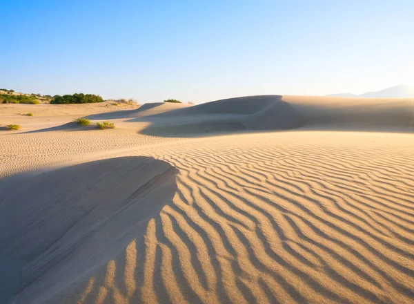 Zandduinen Woestijn Landschap Overdag Lijnen Het Zand Duinen Lucht Zomer — Stockfoto