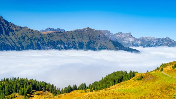 Φύση Οροσειρά Μέσα Από Σύννεφα Πεδίο Και Δάσος Τοπίο Καλοκαίρι — Φωτογραφία Αρχείου