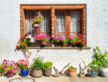 Eski tarz bahçe ve bahçe tasarımı. Bir apartmanın ön cephesi. Saksılar dolusu çiçek. Fotoğraf büyük çözünürlükte