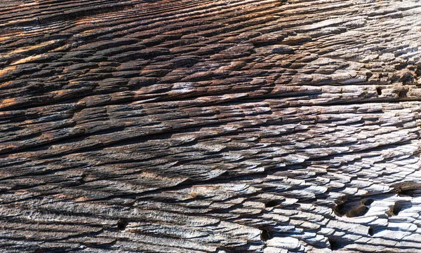 Log Background Texture Natural Wood Large Resolution Photo Design — Stock Photo, Image