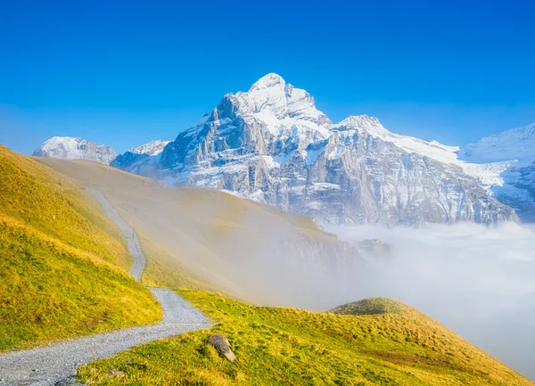 Dağlar vadideki bulutların üzerindeki manzara. Dağ sırası ve açık mavi gökyüzü. Yaz mevsiminde manzara. Seyahat resmi.
