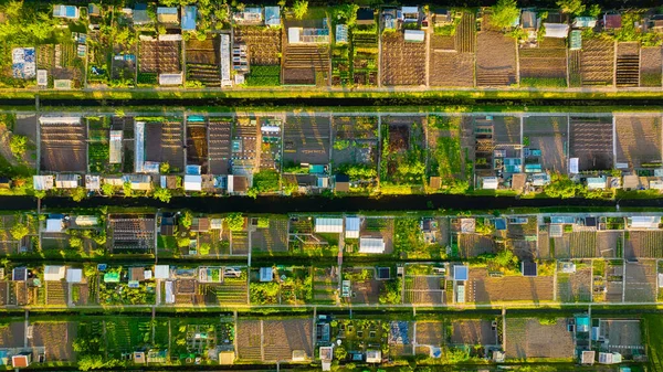 Aerial View Vegetable Gardens Netherlands Canals Water Agriculture Fields Meadows — Stockfoto