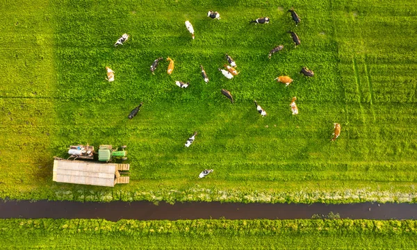 มมองทางอากาศของฟาร เกษตรกรรม มมองของส จากโดรน าในท งหญ — ภาพถ่ายสต็อก