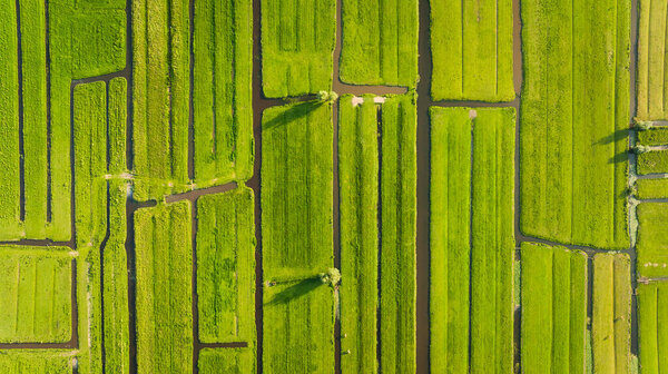 Aerial View Green Field Netherlands Canals Water Agriculture Fields Meadows Stock Picture