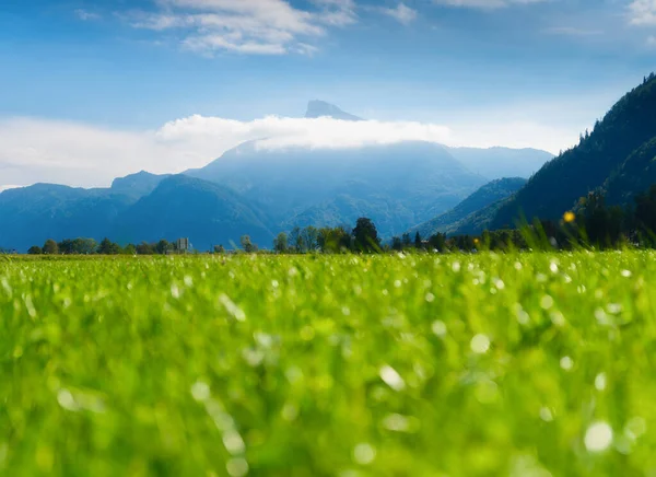 Mountains Field Austria Agriculture Europe Mountains Blue Sky Background Summer — Stock Photo, Image