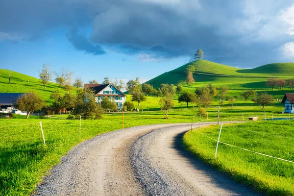 Het Europese Platteland Boom Top Van Heuvel Velden Weiden Landbouwlandschap — Stockfoto