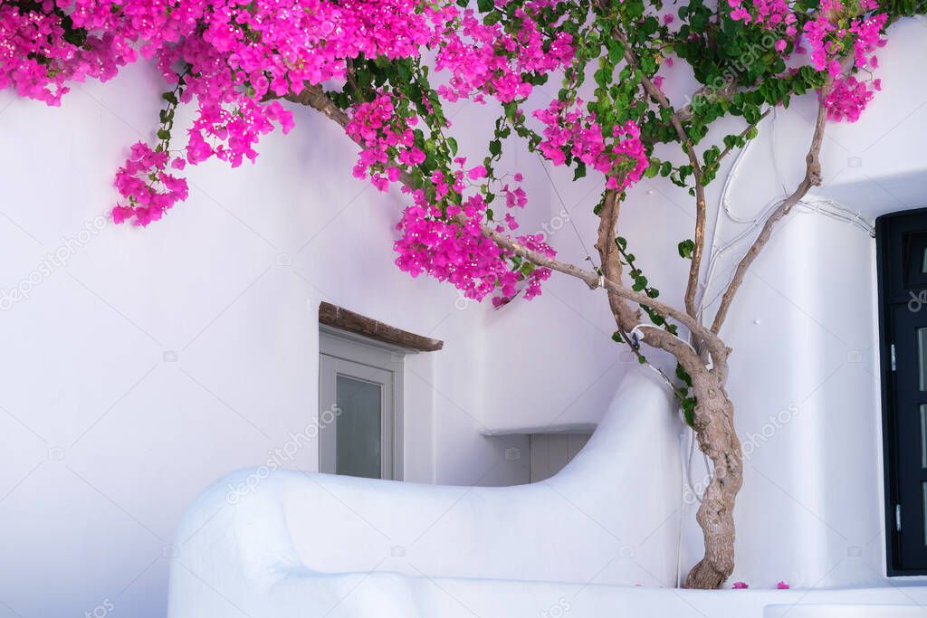 Bright flowers and house design on the island of Mykonos, Greece. Wallpaper for design.