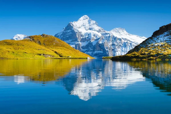 Bachalpsee Grindelwald Schweiz Hohe Berge Und Spiegelung Auf Der Oberfläche — Stockfoto