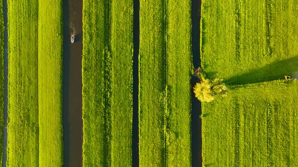 มมองทางอากาศของสนามส เนเธอร แลนด คลองท าเพ อการเกษตร งหญ าและท งหญ จากโดรน — ภาพถ่ายสต็อก