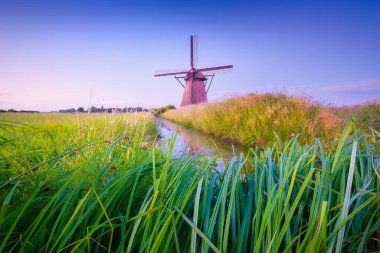 Hollanda 'daki yel değirmenleri. Tarihi binalar. Tarım. Gün batımında yaz manzarası. Parlak gökyüzü ve rüzgar gülü. Tasarım fotoğrafçılığı.