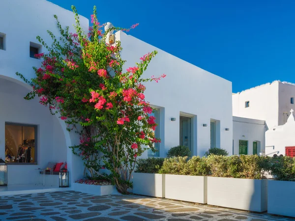Isola Mykonos Grecia Strade Architettura Tradizionale Edifici Colore Bianco Fiori Fotografia Stock