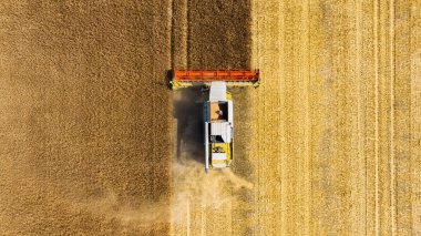 Agriculture. View from the air. Harvester collects on the field of ripe wheat. Industry. Production of food. Transportation for agriculture.