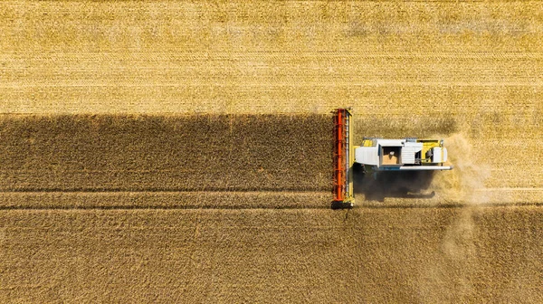 Agriculture View Air Harvester Collects Field Ripe Wheat Industry Production —  Fotos de Stock