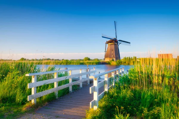 Park Narodowy Kinderdijk Holandii Wiatraki Ciągu Dnia Naturalny Krajobraz Historycznym — Zdjęcie stockowe