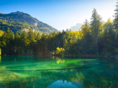 Göl, dağlar ve orman. Güneş ağaçların arasından ışıldar. Suyun yüzeyindeki yansımalar. Doğanın manzarası. Gölde berrak su. 